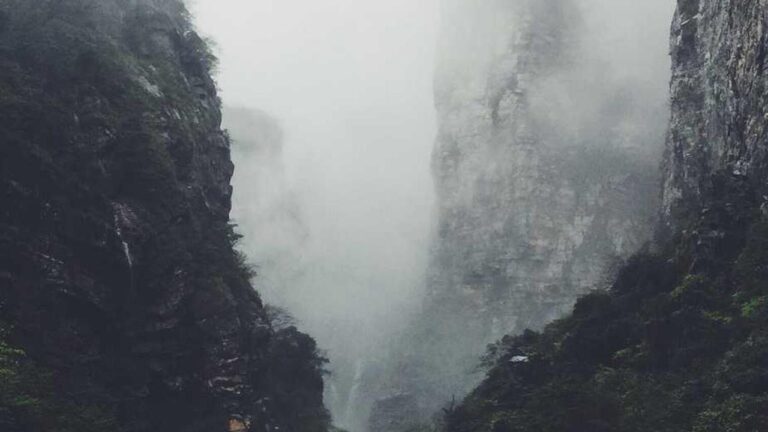 What Features Are Included In 11Xplay Pro Black?